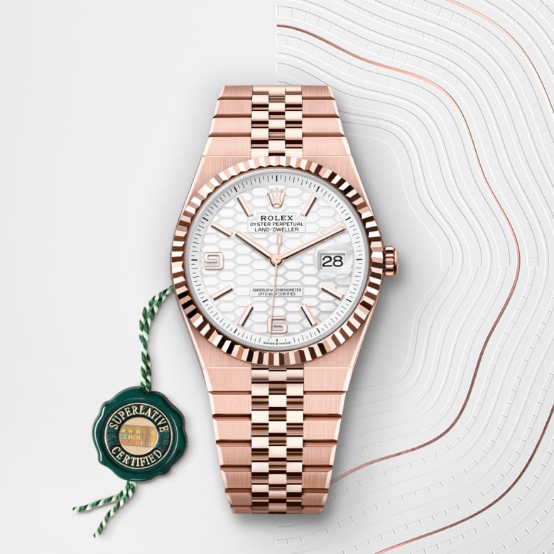 rolex Land-Dweller in 18 ct Everose gold, M127335-0001 - Globaltimepieces