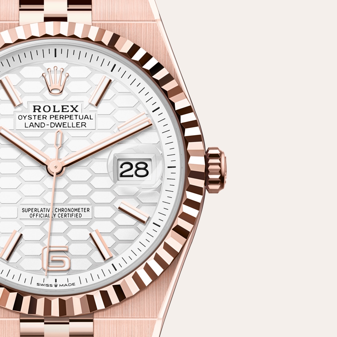 rolex Land-Dweller in 18 ct Everose gold, M127335-0001 - Globaltimepieces