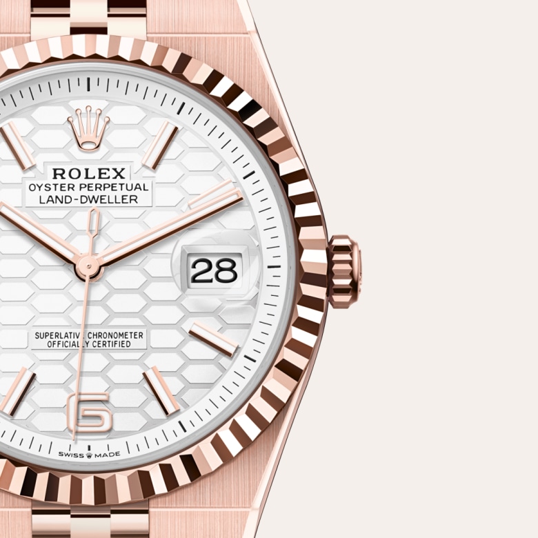 rolex Land-Dweller in 18 ct Everose gold, M127335-0001 - Globaltimepieces