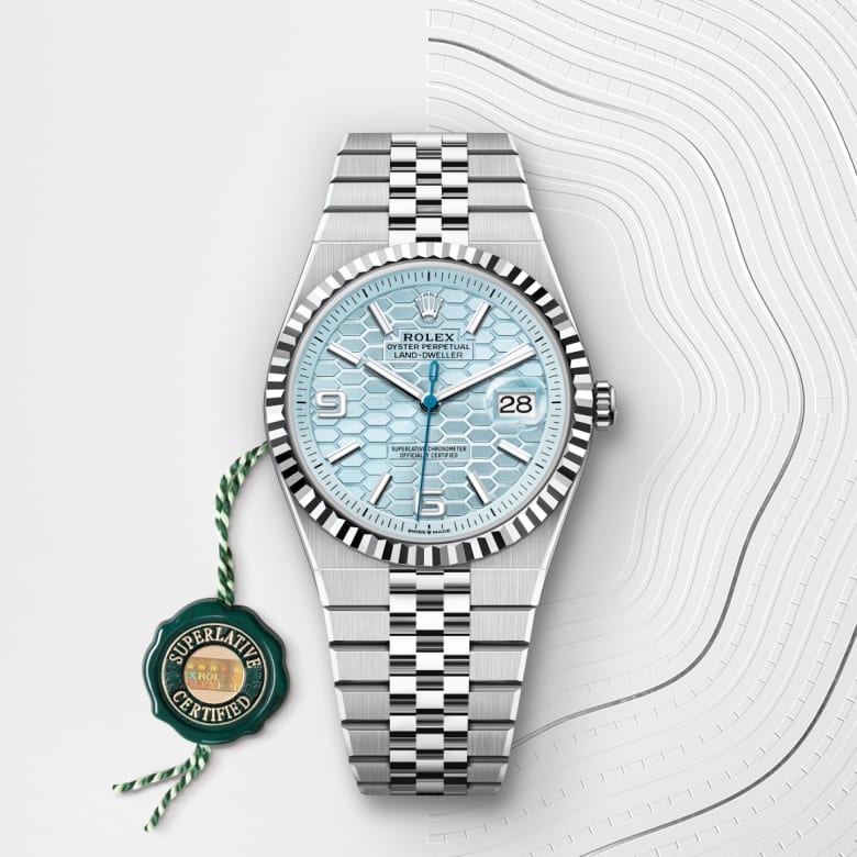 rolex Land-Dweller in Platinum, M127336-0001 - Globaltimepieces